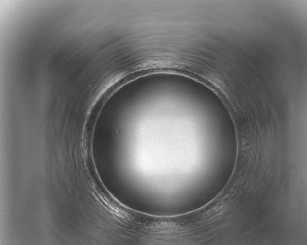 X0000058811119200510071721