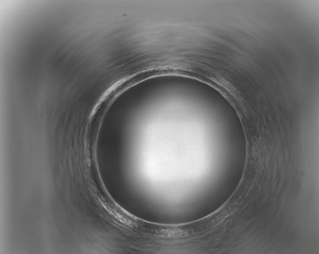 X0000058811120200510071721