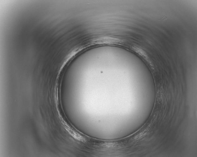 X0000058811130200510071721