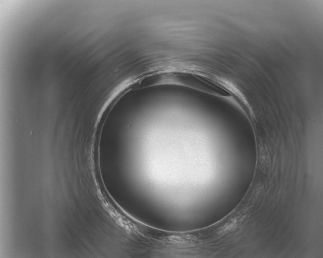 X0000058811138200510071721