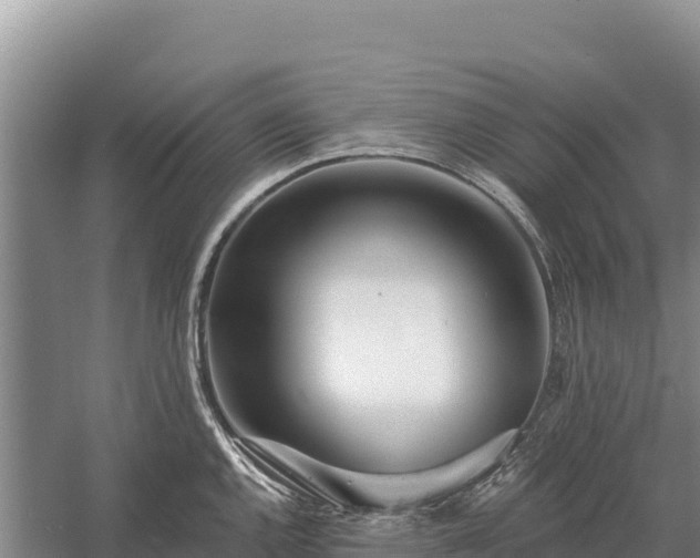 X0000058811144200510071721