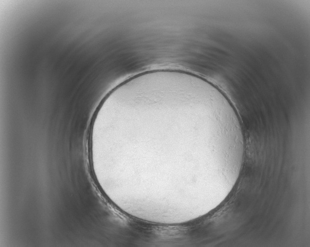 X0000058811150200510071721