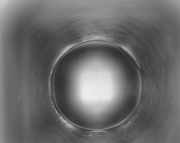 X0000058811151200510071721