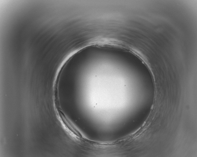 X0000058811152200510071721