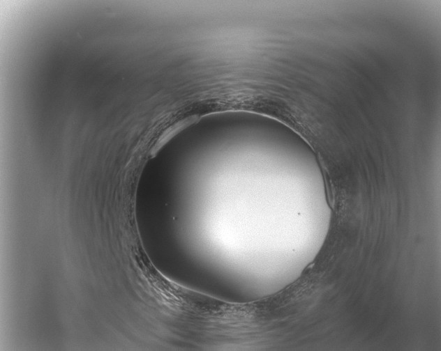 X0000058811153200510071720