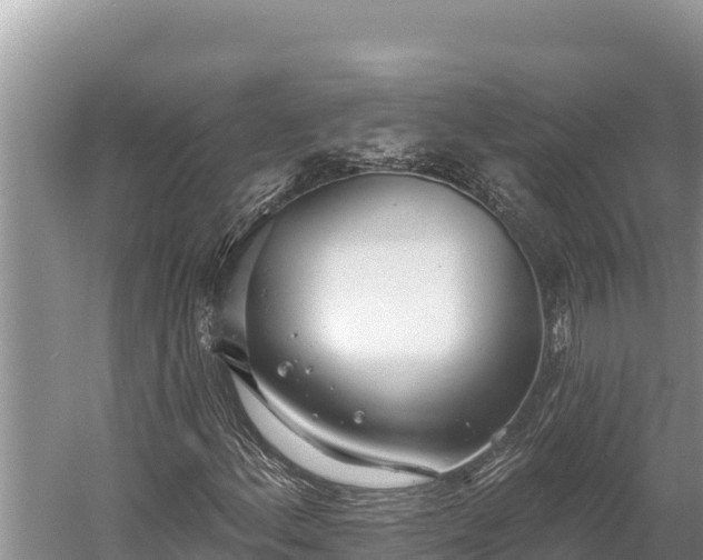 X0000058811156200510071720