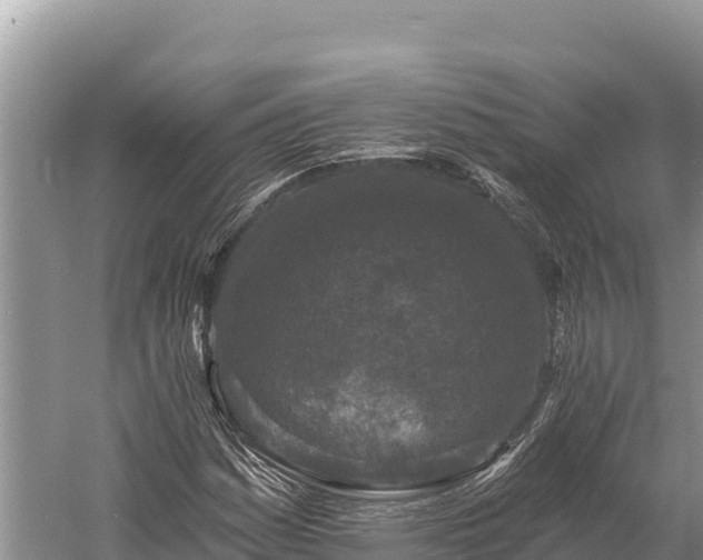 X0000058811161200510071720