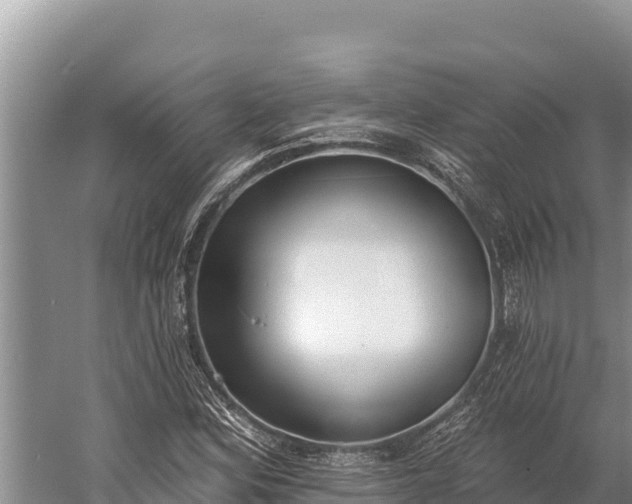 X0000058811164200510071720