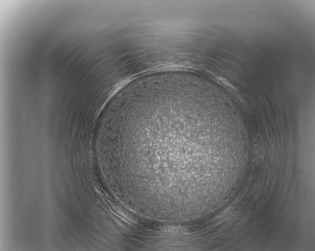 X0000058811170200510071720