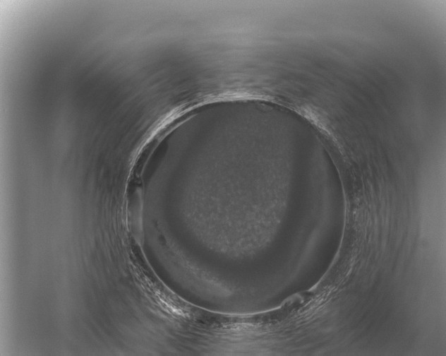 X0000058811173200510071720