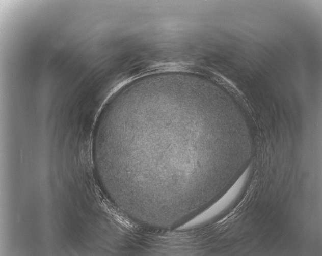 X0000058811174200510071720