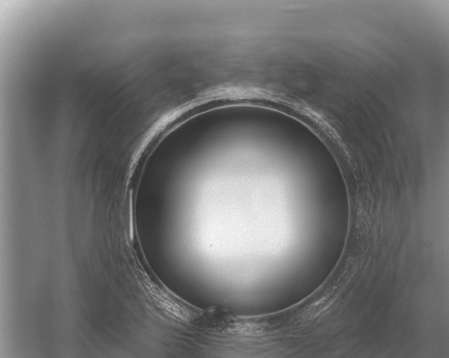 X0000058811175200510071720