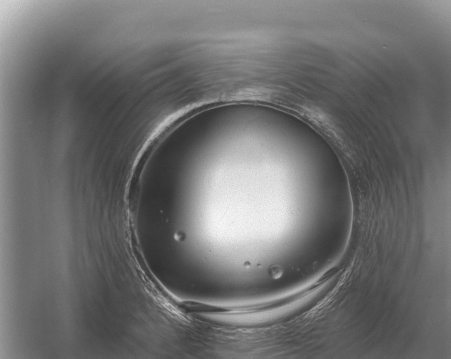 X0000058811184200510071720