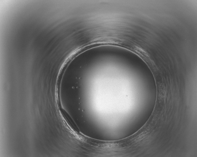 X0000058811188200510071720