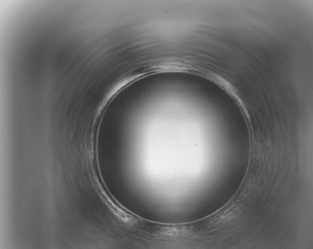 X0000058811195200510071720