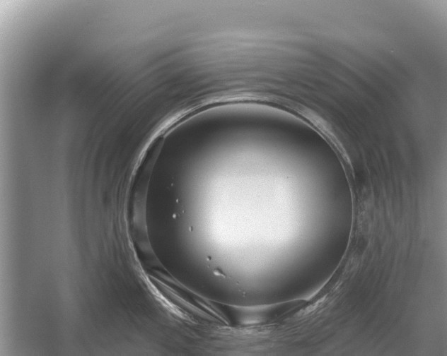 X0000058811197200510071720