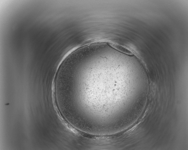 X0000058811198200510071720