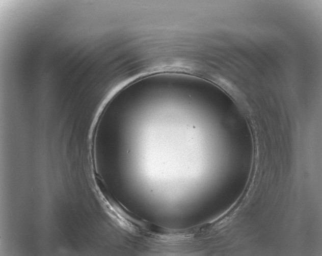 X0000058811200200510071720