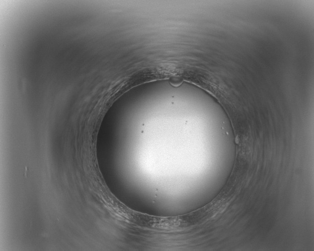 X0000058811201200510071719