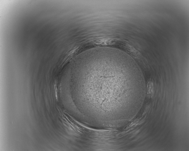 X0000058811202200510071719