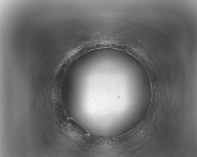 X0000058811207200510071719