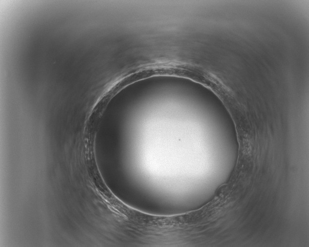 X0000058811208200510071719