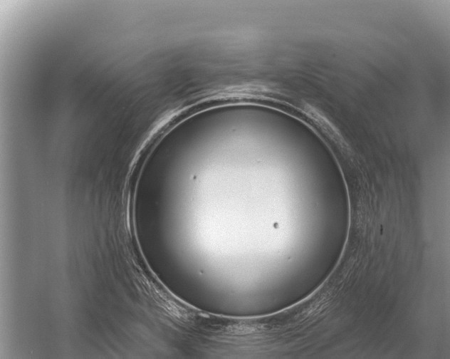 X0000058811224200510071719