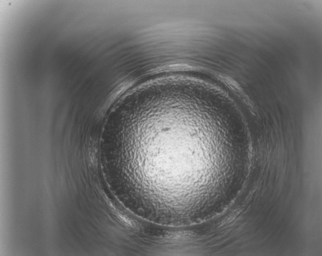 X0000058811225200510071719