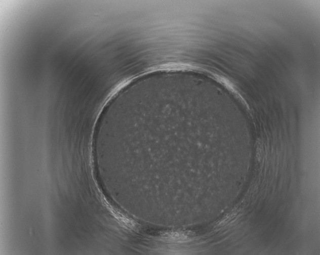 X0000058811229200510071719