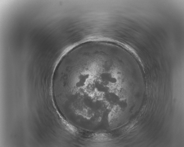 X0000058811231200510071719