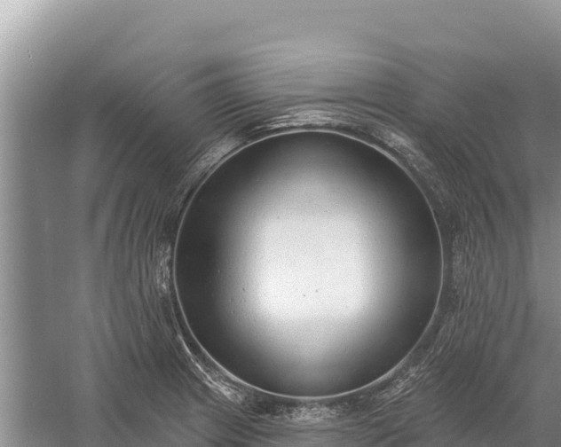 X0000058811233200510071719