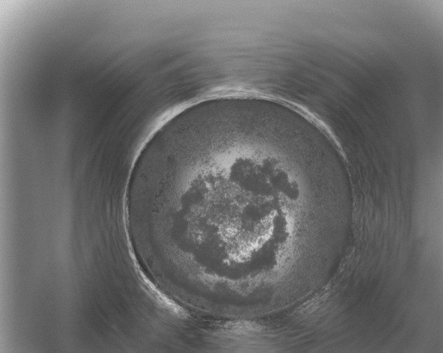 X0000058811239200510071719