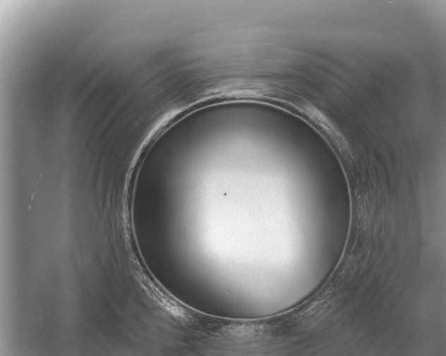 X0000058811240200510071719