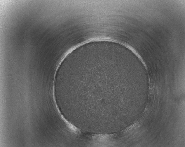 X0000058811245200510071720