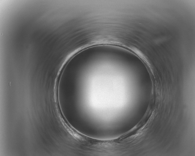 X0000058811246200510071720