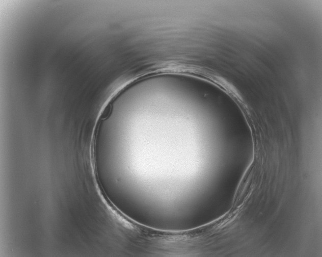 X0000058811247200510071720