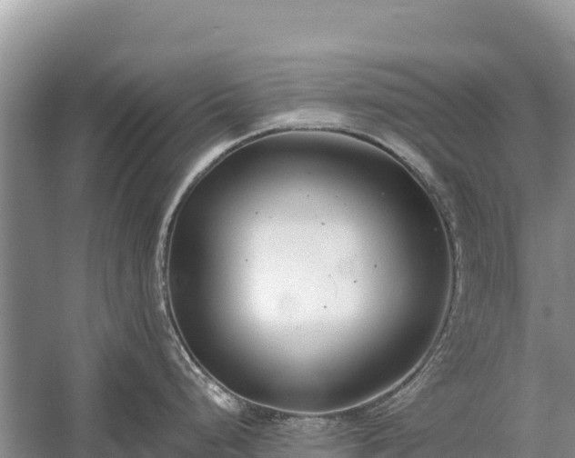 X0000058811248200510071720