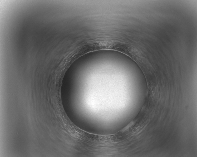 X0000058811249200510071719