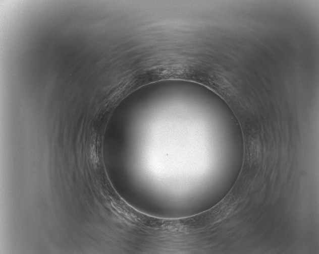 X0000058811250200510071719