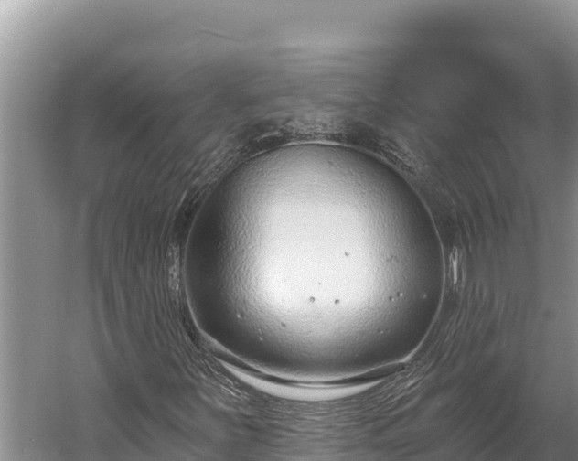 X0000058811251200510071719