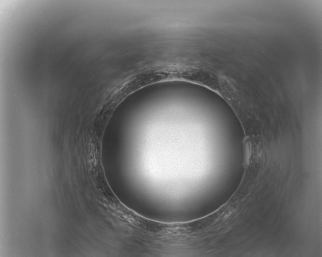 X0000058811253200510071719