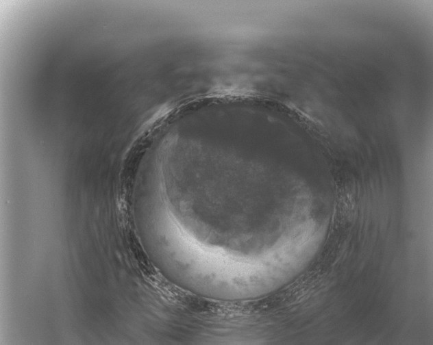 X0000058811254200510071719