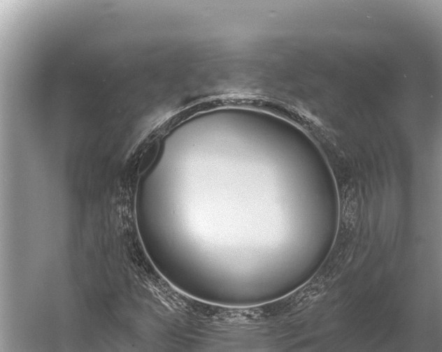 X0000058811255200510071719