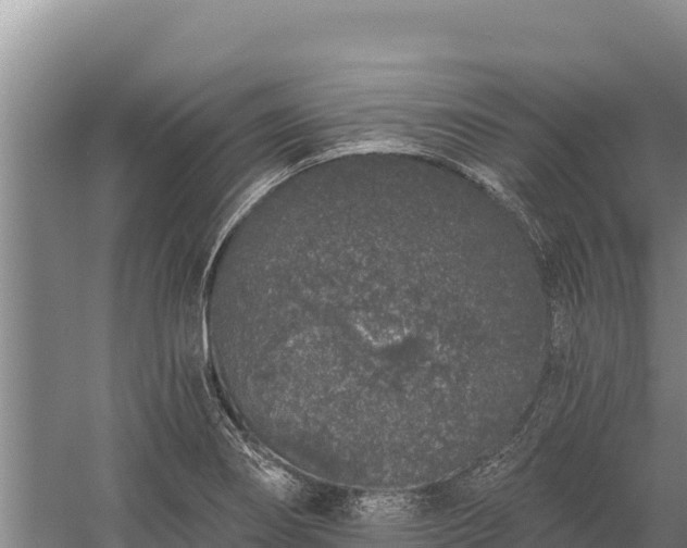 X0000058811274200510071718