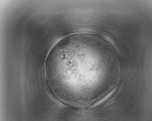 X0000058811275200510071718