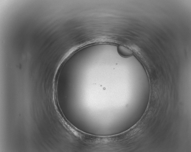 X0000058811286200510071718