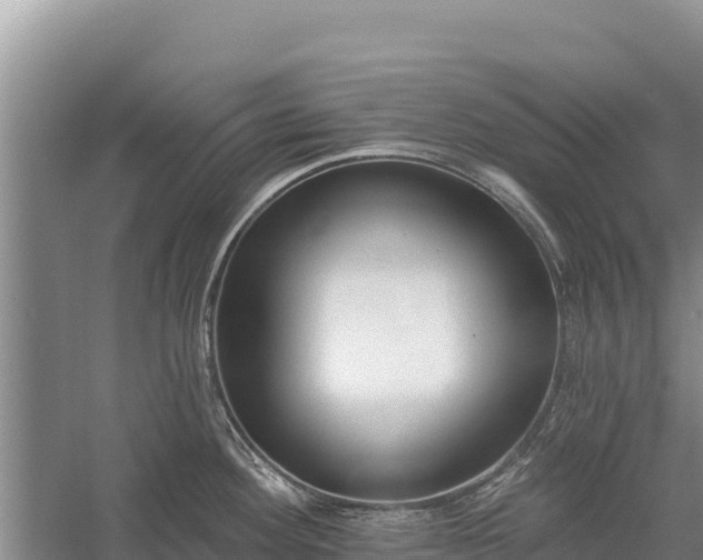 X0000058811292200510071718