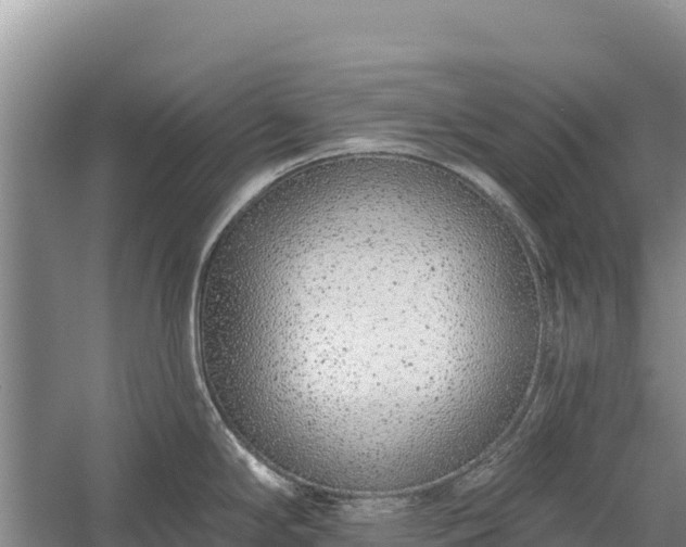 X0000058811294200510071718