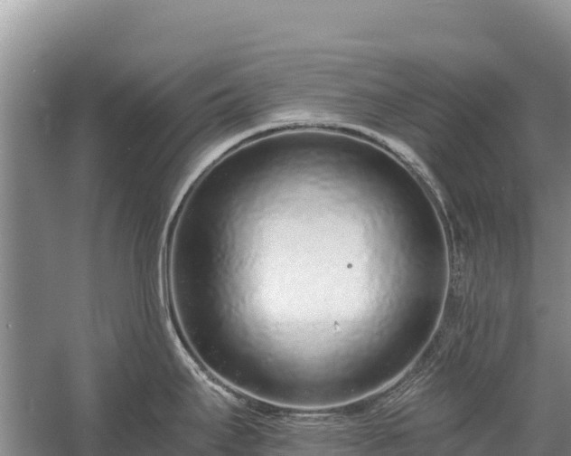 X0000058811295200510071718