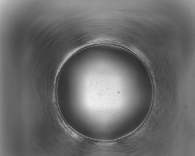 X0000058811296200510071718